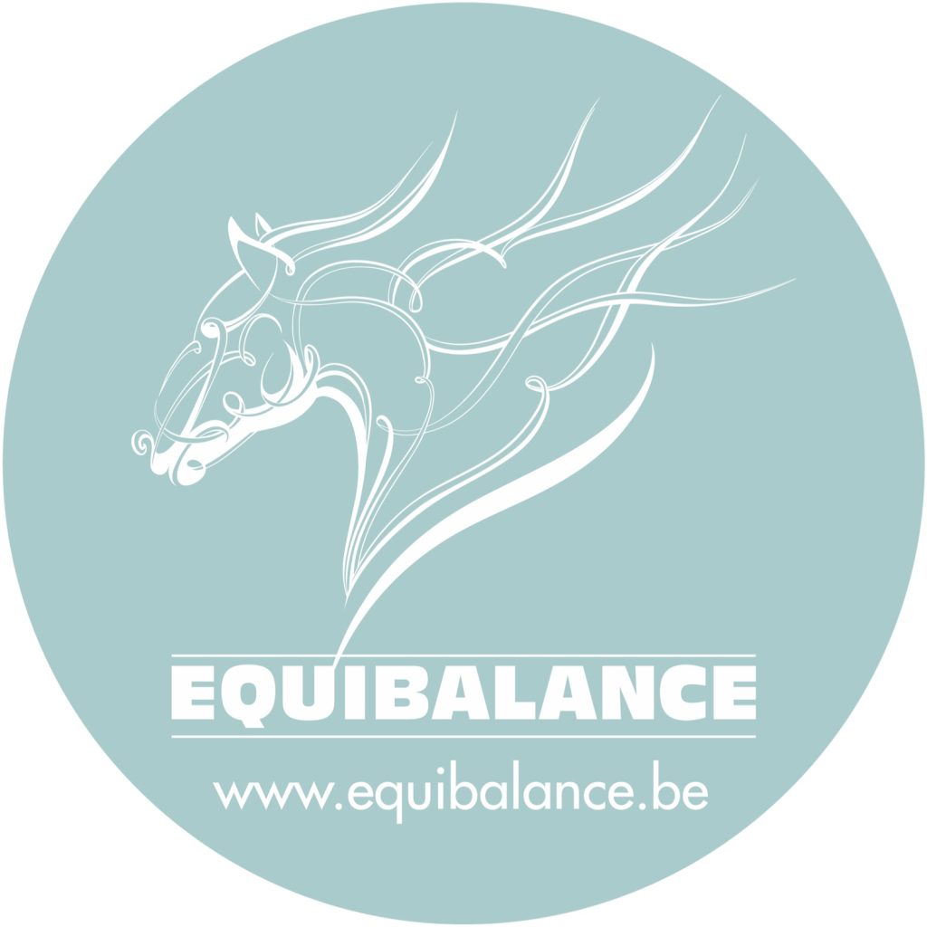 logo equibalance