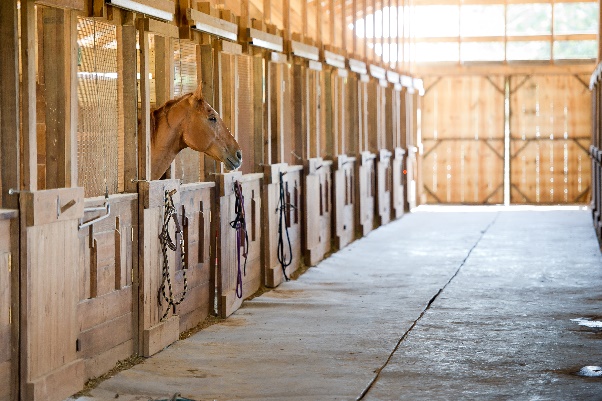Advies over van Plan tot Paardenstal