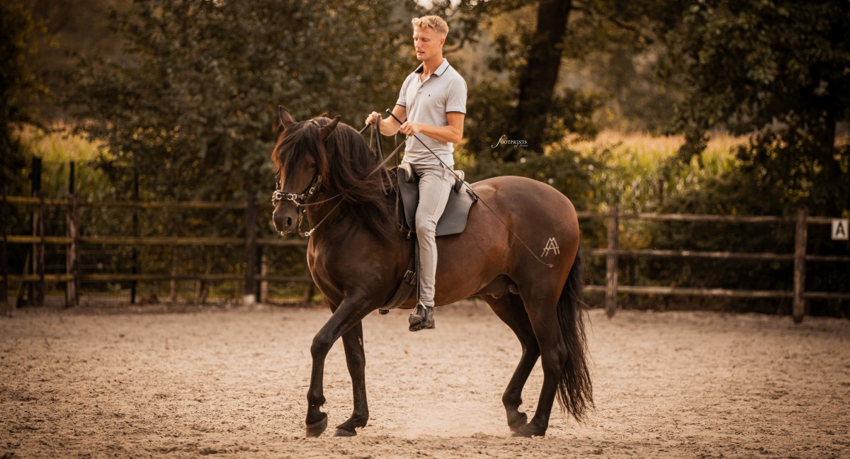 paardrijder in actie voor de lezing van paard tot rijpaard 