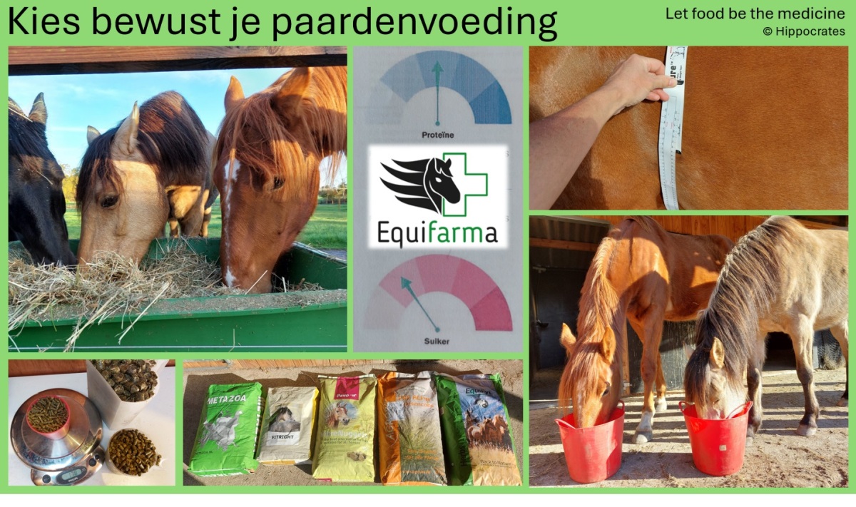 geschikte voeding voor paarden