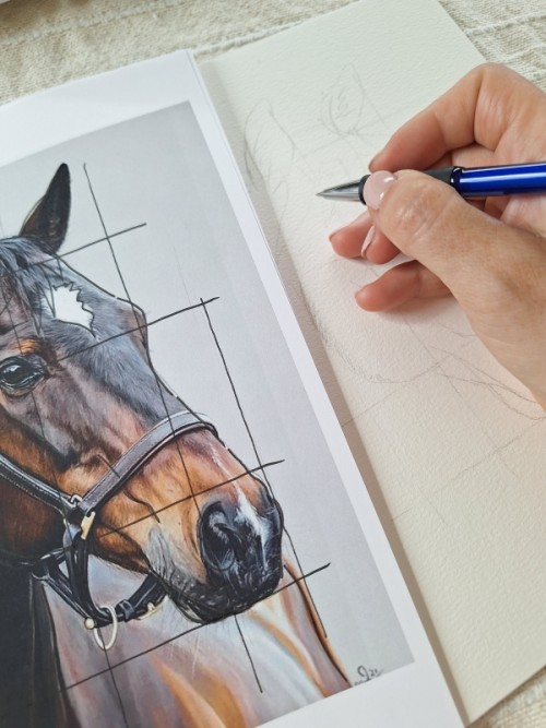 workshop over het maken van schetsen van je paarden